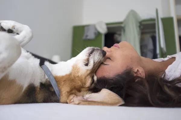 Warum Hunde die besten Freunde des Menschen sind