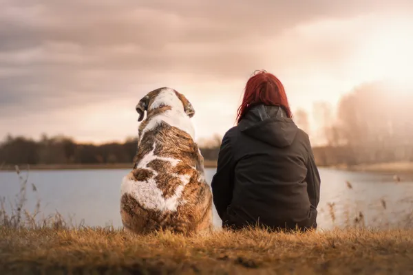 Hunde als treue Begleiter