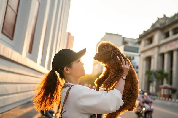 Herausforderungen im Zusammenleben mit einem Hund - Wie man sie meistert